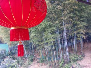 Luckyarn es especialista en importaciones de China de cualquier tipo con más de 10 años de experiencia